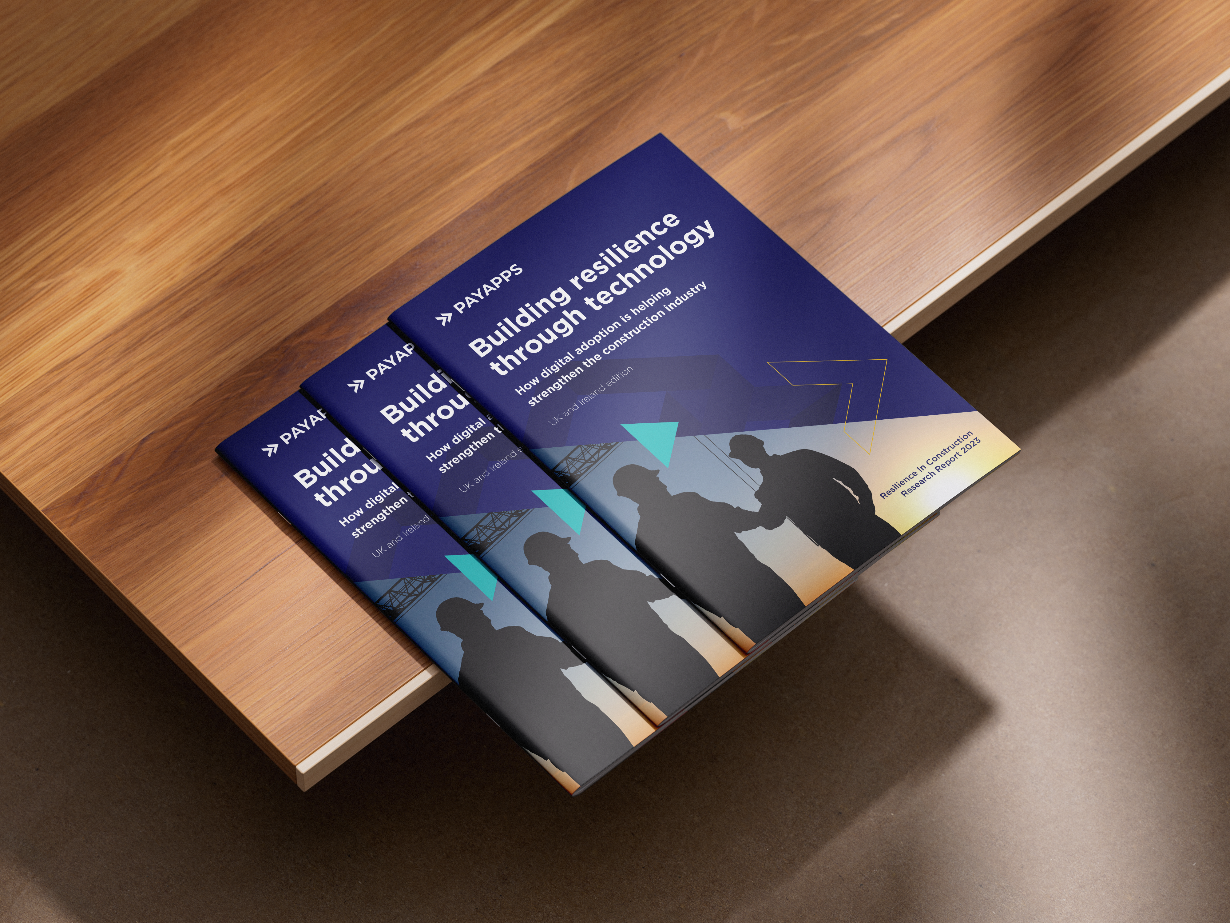 PAYAPPS Brochure Design